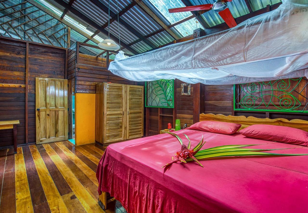 Congo Bongo Ecovillage Costa Rica Puerto Viejo de Talamanca Екстер'єр фото