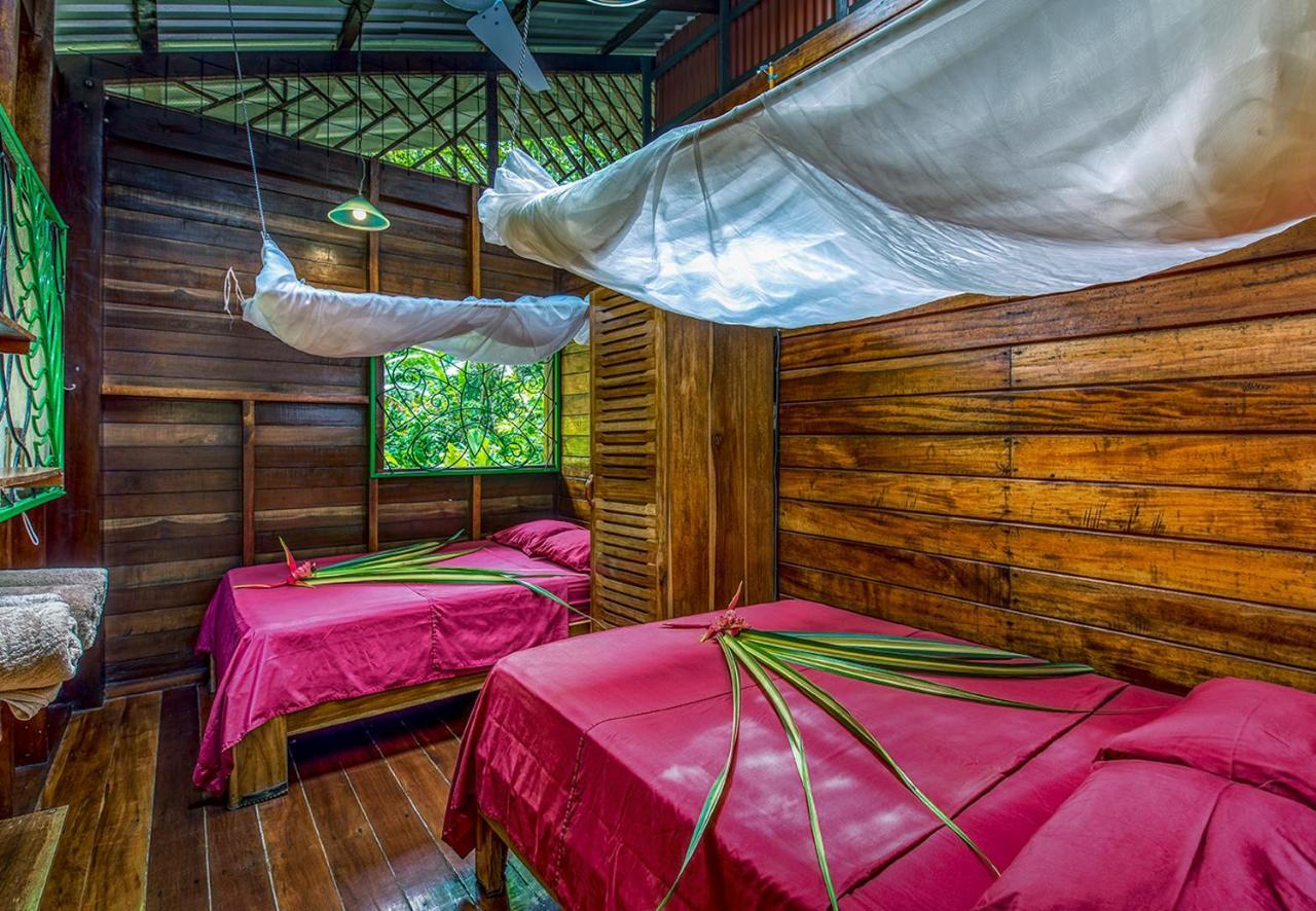 Congo Bongo Ecovillage Costa Rica Puerto Viejo de Talamanca Екстер'єр фото
